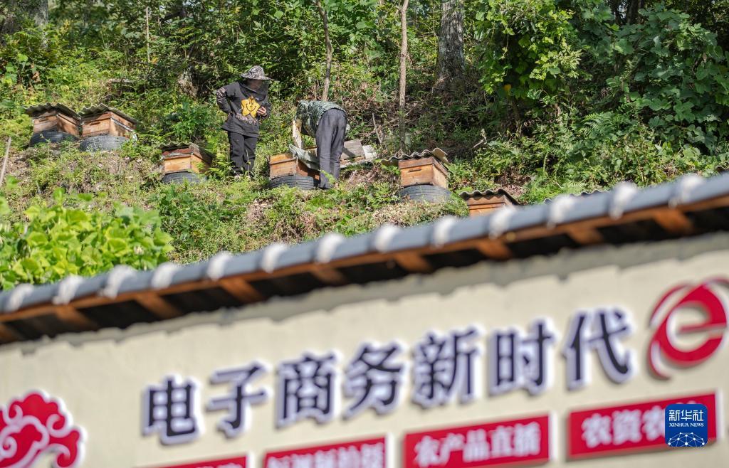 白菜pt游戏免费送彩金